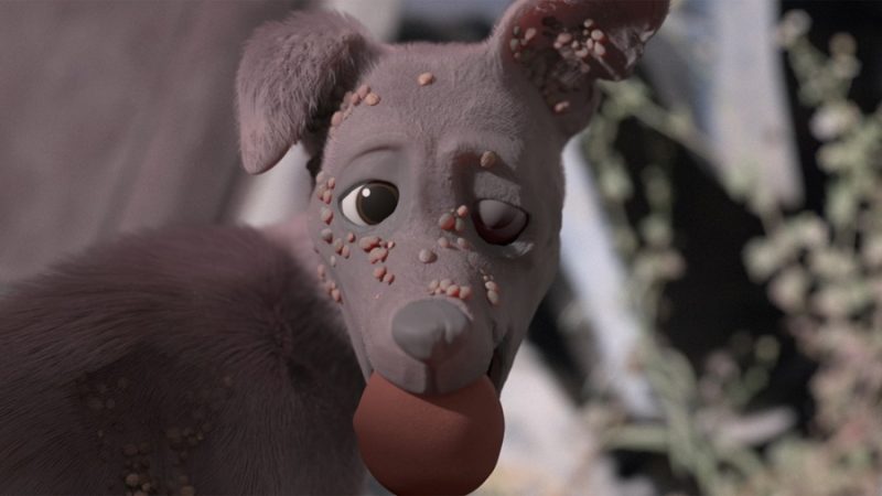 La_Carretera_de_los_perros_STILL11