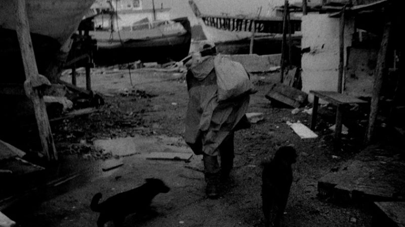 Lengua Muerta - Still 01