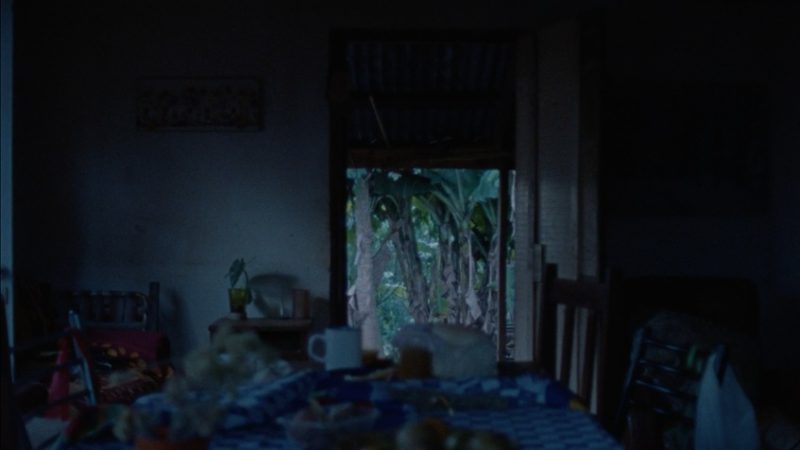 Still 1_NUESTRA SOMBRA