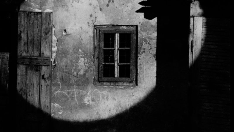 ZTNNZ_kadr_wiodacy_1