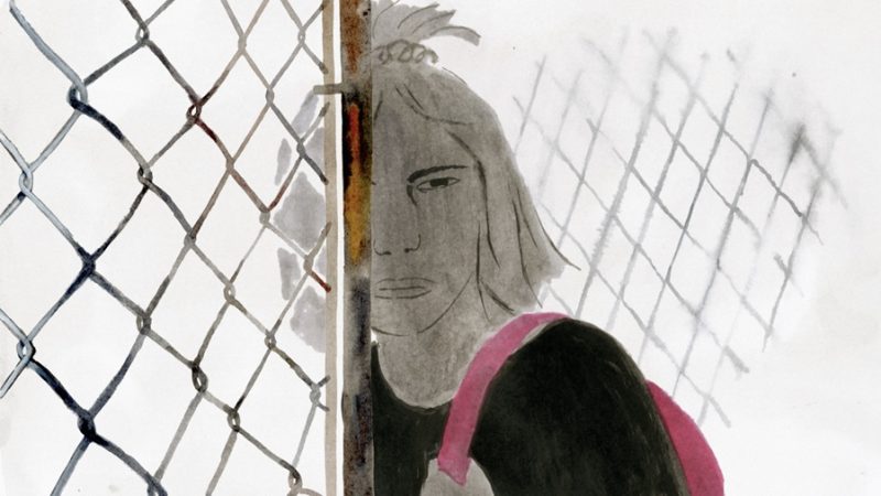 soleil gris 01 novanima_Animal_Tank HD